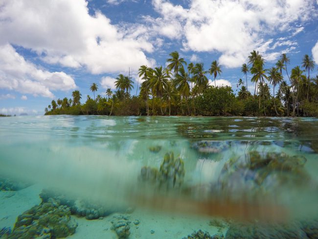 coral garden at le tahaa luxury resort french polynesia