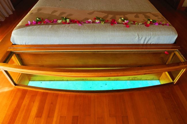 glass bottom floor le tahaa luxury resort french polynesia
