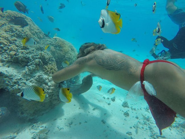 lagoon tour bora bora french polynesia didi getting moray eel