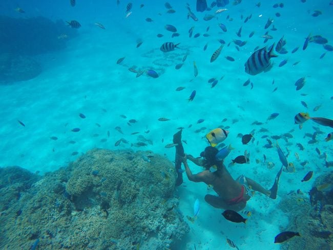 lagoon tour in bora bora french polynesia moray eel