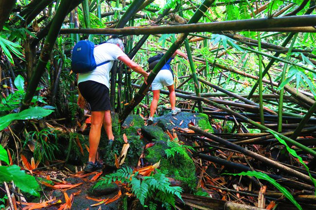 les trois cascades three waterfalls Raiatea Island French Polynesia hike