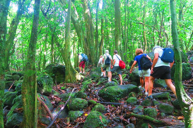 les trois cascades three waterfalls Raiatea Island French Polynesia hiking through rainforest