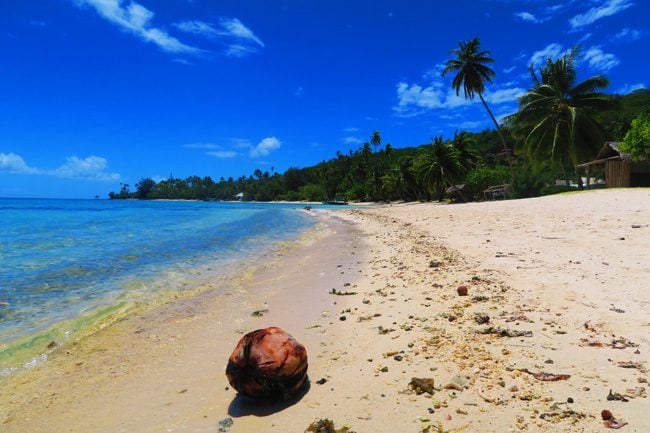 matria beach bora bora french polynesia coconut on beach