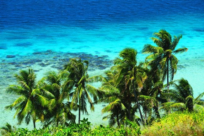 palm trees and turquoise water in bora bora french polynesia