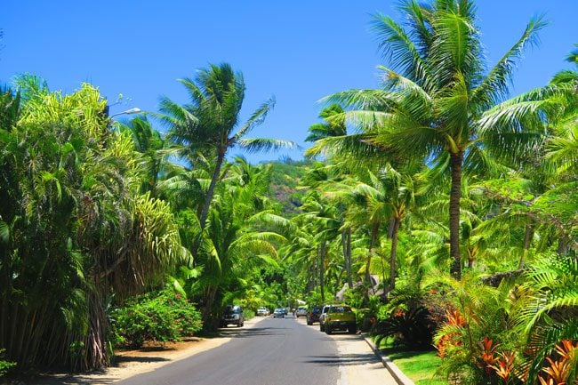 road in bora bora french polynesia