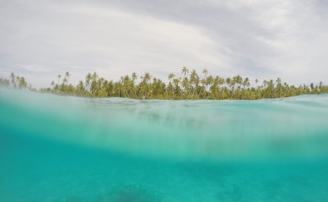snorkeling-PK9-beach-fakarava-view-of-beach