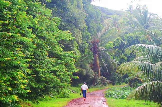 tahaa island tour man walking to church in rain