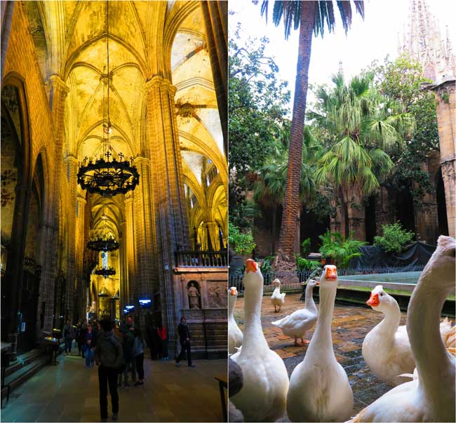 Barcelona Cathedral cloister and interior