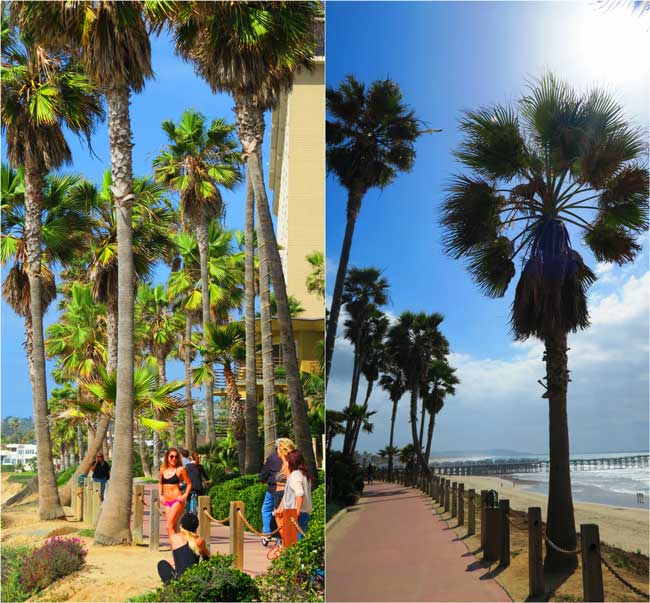 Promenade de la plage du Pacifique