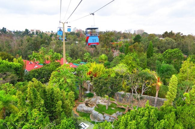 San Diego Dyrepark Skyfari tram