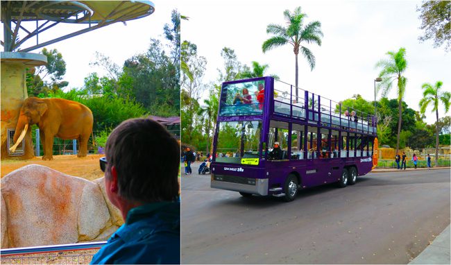 San-Diego-Zoo-tour-bus