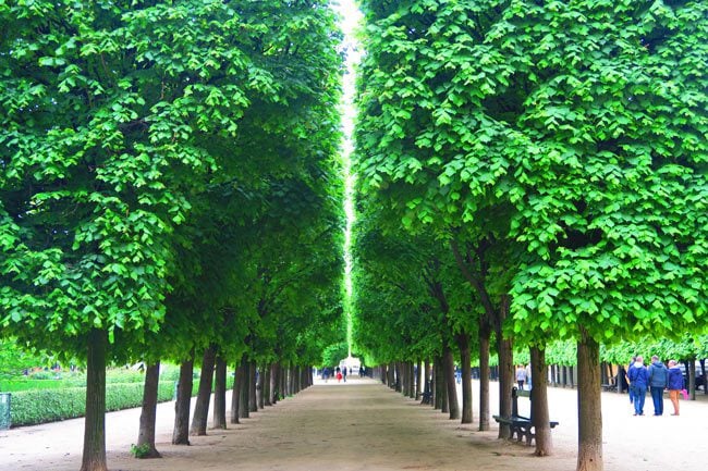 Jardins du Palais Royal Paris