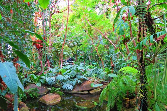 Jardin des Plantes Paris hothouses