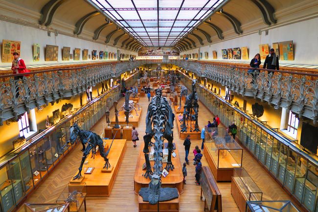 Jardin des Plantes Paris museum natural history