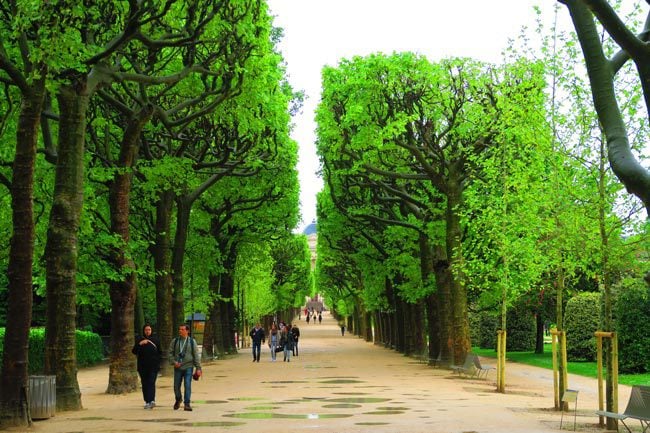 Jardin des Plantes Paris - rainy day in Paris