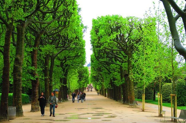 Jardin des Plantes Paris