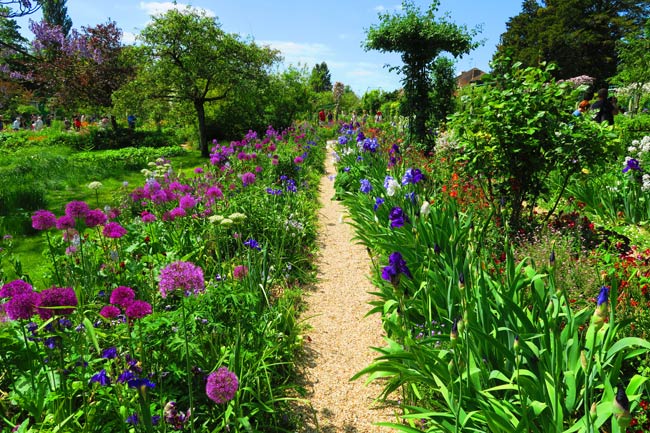 Monet garden Giverny flower row