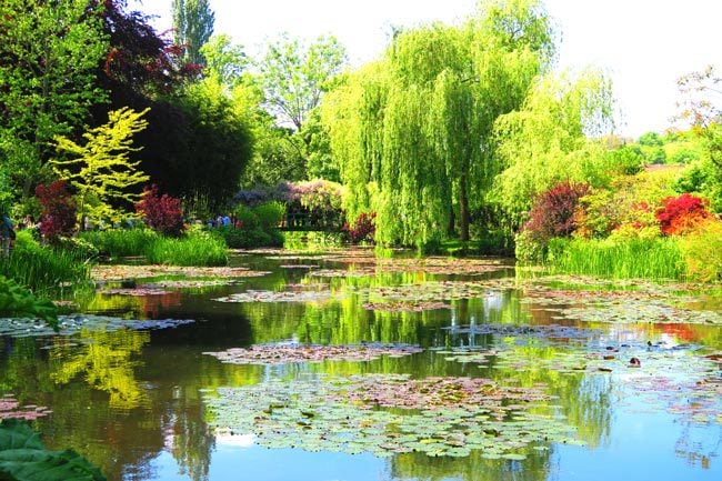 View of Japanese bridge monet garden giverny