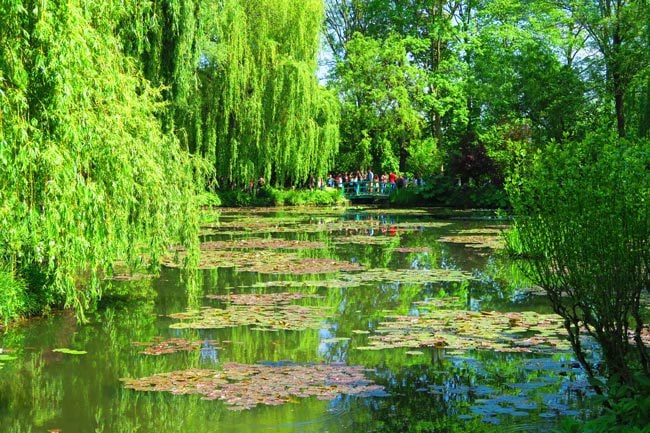 Water lily pong monet garden giverny