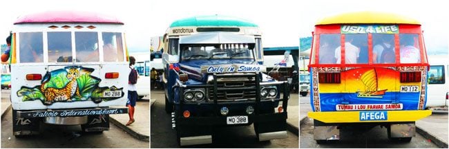 Bus in Samoa collage