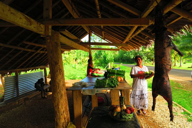 Buying fruit in Espiritu Santo Vanuatu