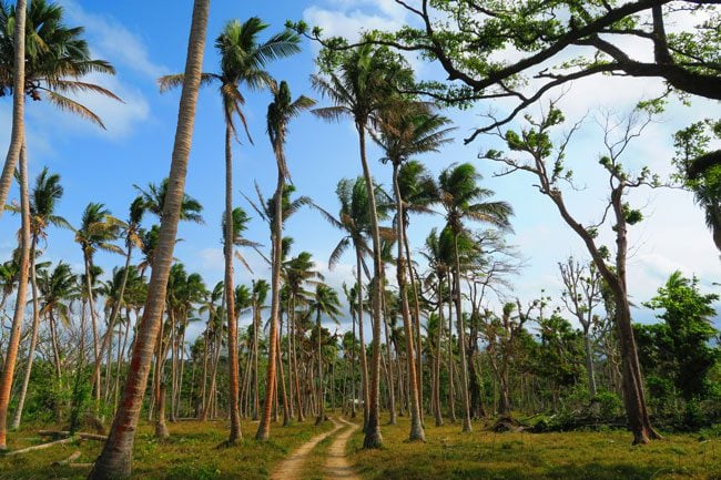 Efate Island Road