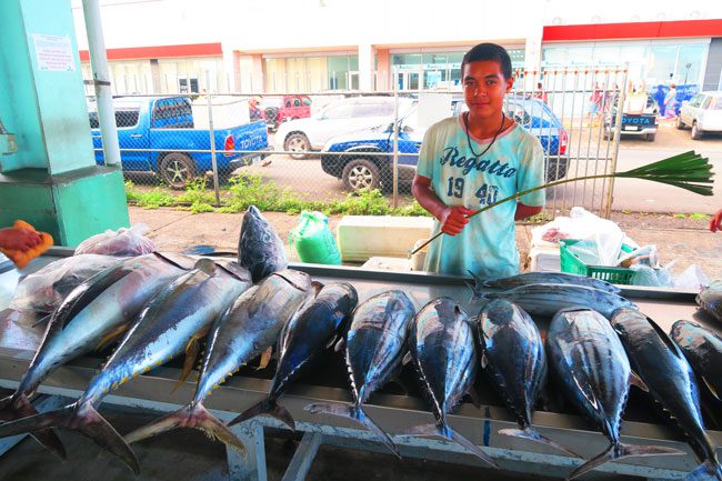 Fish Market Apia Samoa Tuna 2