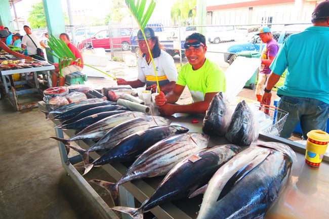 Fish Market Apia Samoa Tuna