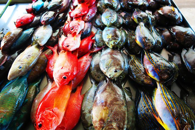 Fish Market Apia Samoa