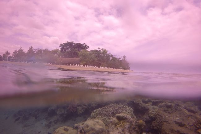 Hideaway Island Vanuatu Underwater