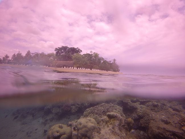 Hideaway Island Vanuatu Underwater