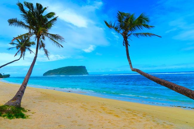 Lalomanu Beach Samoa palm trees weird angles