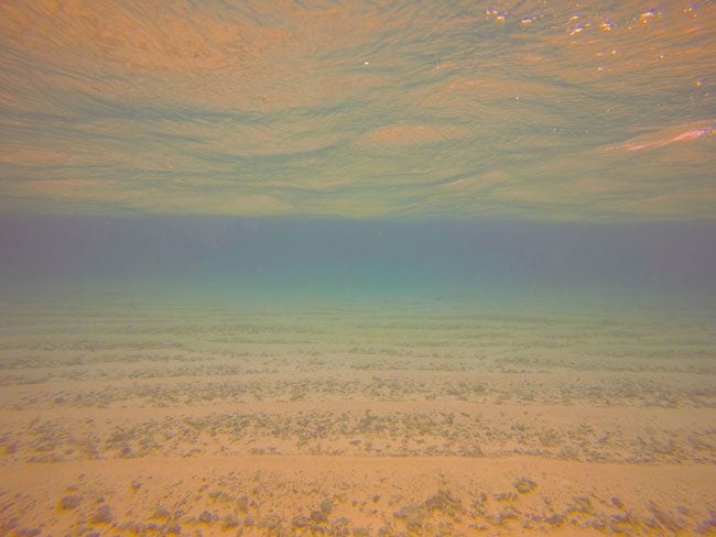 Lalomanu Beach Samoa underwater color