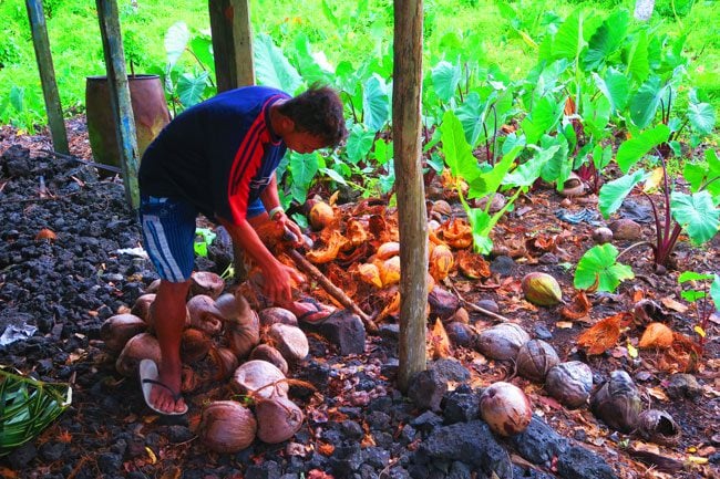 Making Umu in Samoa peeling coconuts