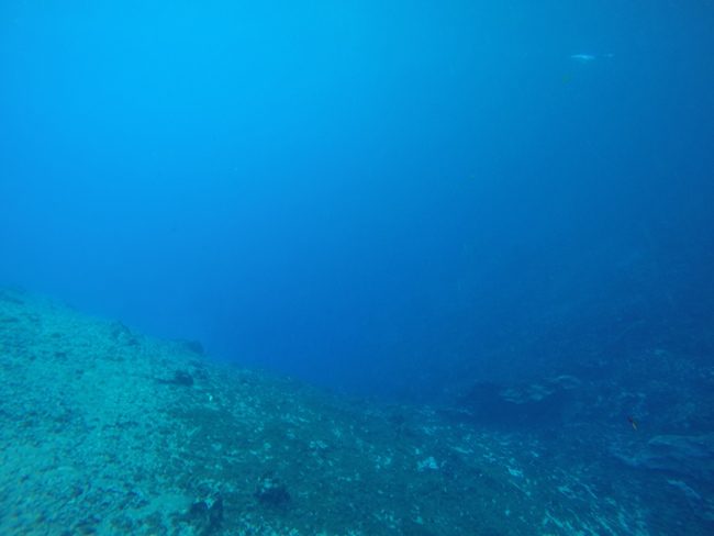 Matevulu Blue Hole Vanuatu