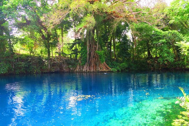 Matevulu Blue Hole Vanuatu