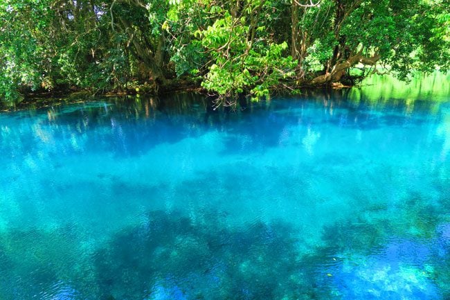 Matevulu Blue Hole Vanuatu 6