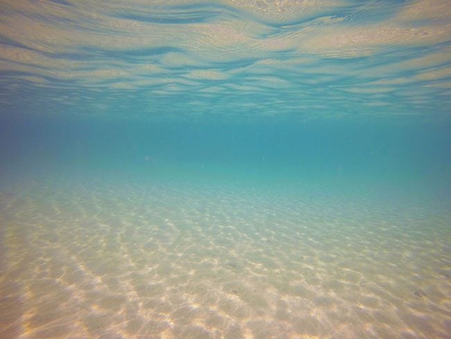 Savaia beach Samoa Lefaga Bay