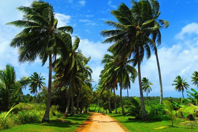 Country road in Aitutaki Cook Islands