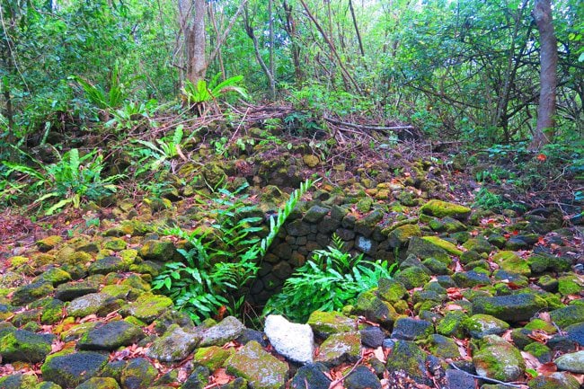 Falealupo Peninsula Savaii Samoa Blood Well