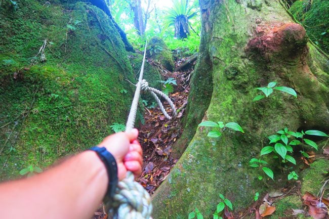 Hanging on to rop climbing Mount Tumu in Ofu Island American Samoa