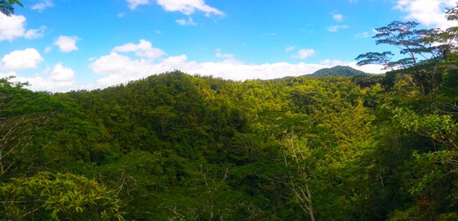 Mount Matavanu Crater Savaii Samoa - panoramic view