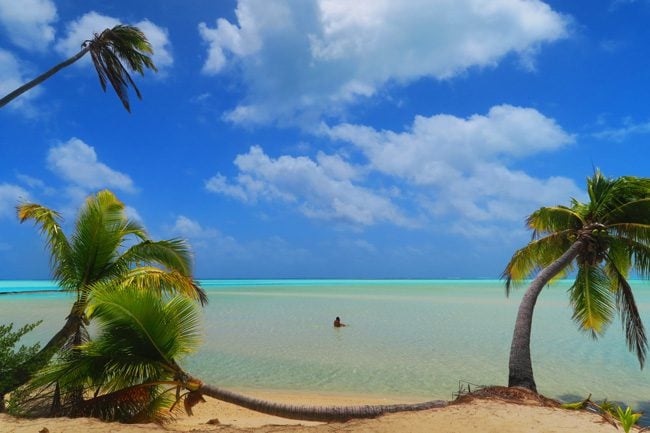 One Foot Island Aitutaki lagoon Cook Islands swimming and plam trees