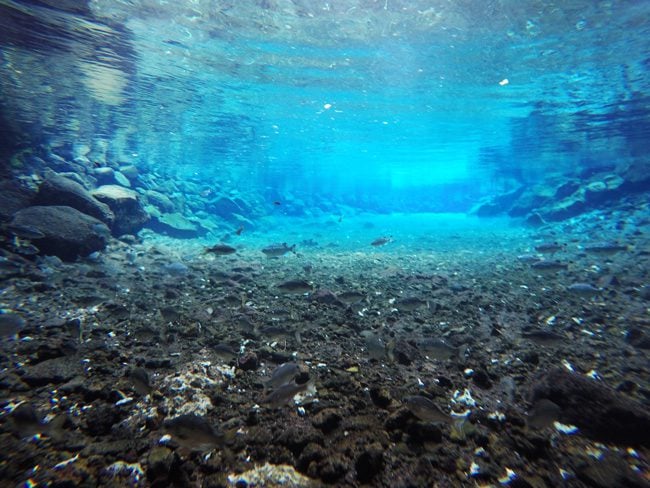 Piula Cave Pool Samoa underwater