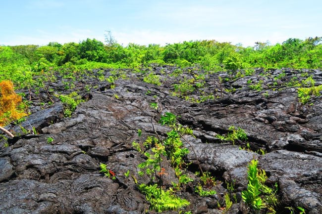 Saleaula Lava Fields Savaii Samoa