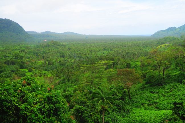 Samoa Cross Island Scenic Drive