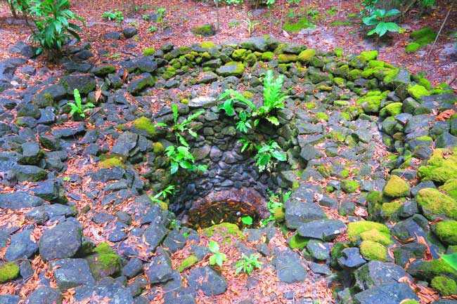 Tuiofu Well in Ofu Island American Samoa