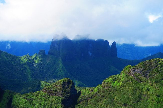 Closeup Mount Aorai hike Tahiti French Polynesia