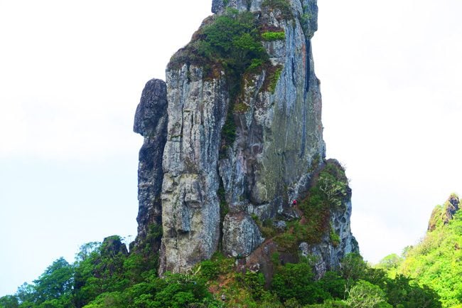 Cross Island Track Rarotonga Cook Islands the needle