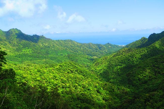 Cross Island Track Rarotonga Cook Islands view from needle